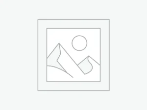 Epson SureColor P6570E - Impresora para grupos de trabajo de 24"